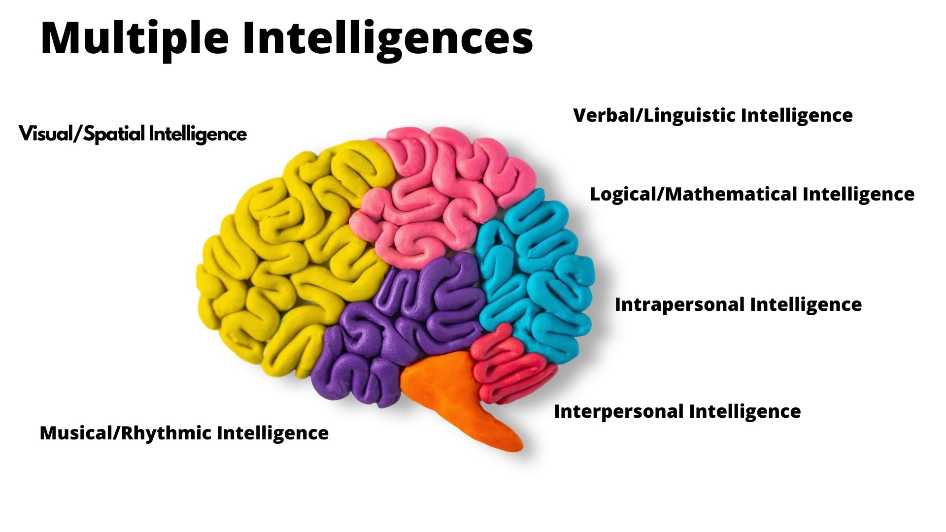 howard gardner multiple intelligences diagram